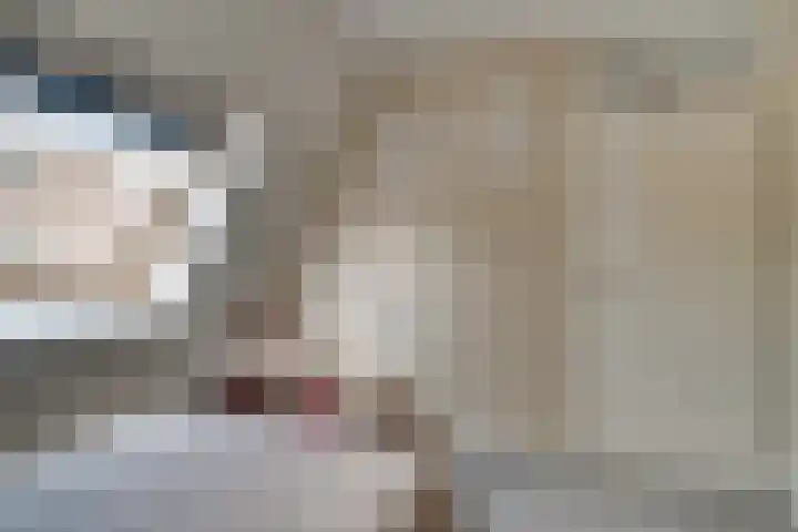 de Ververt 1241 Wijchen thumbnail 30
