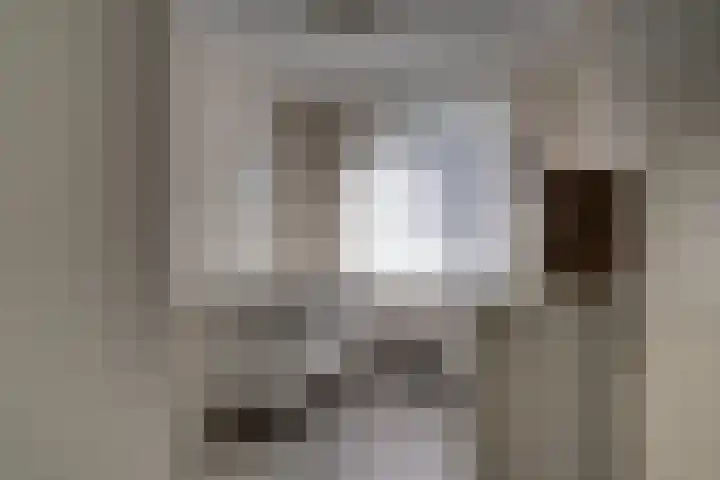 de Ververt 1241 Wijchen thumbnail 31