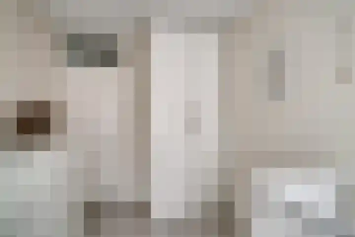 de Ververt 1241 Wijchen thumbnail 32