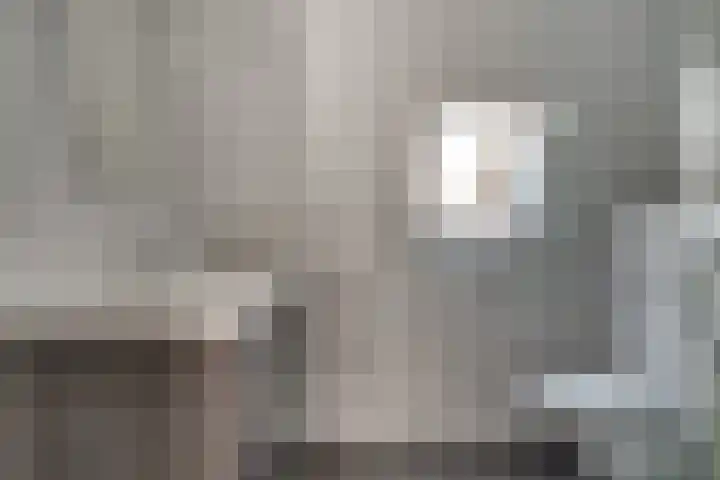 de Ververt 1241 Wijchen thumbnail 33