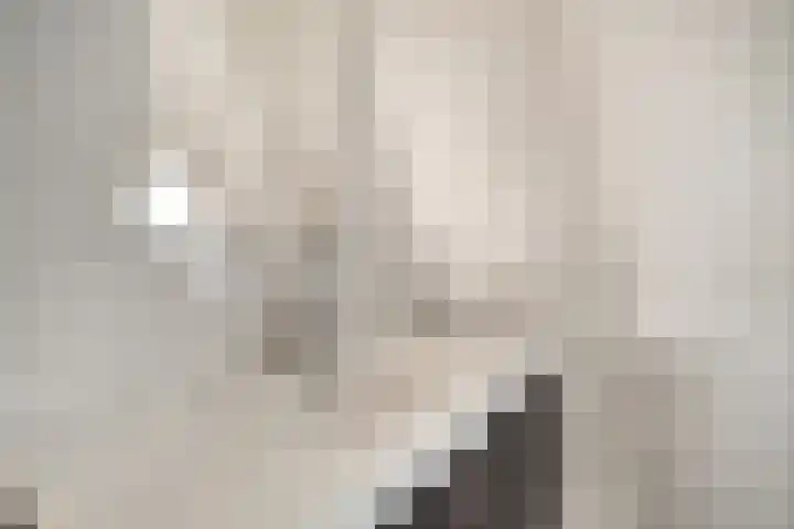 de Ververt 1241 Wijchen thumbnail 35