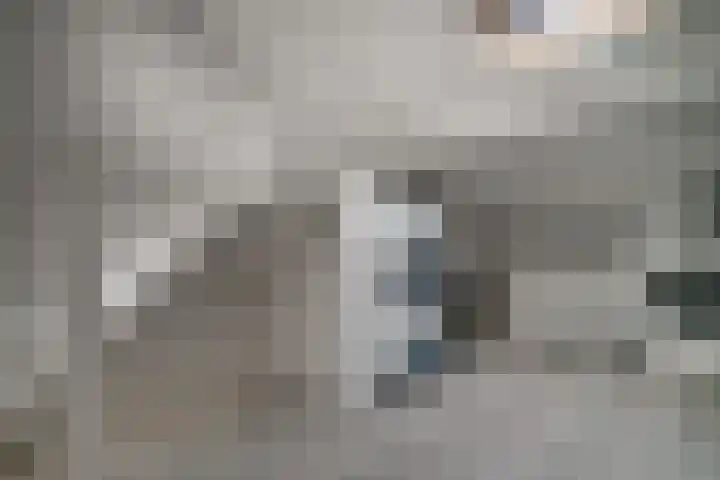de Ververt 1241 Wijchen thumbnail 36