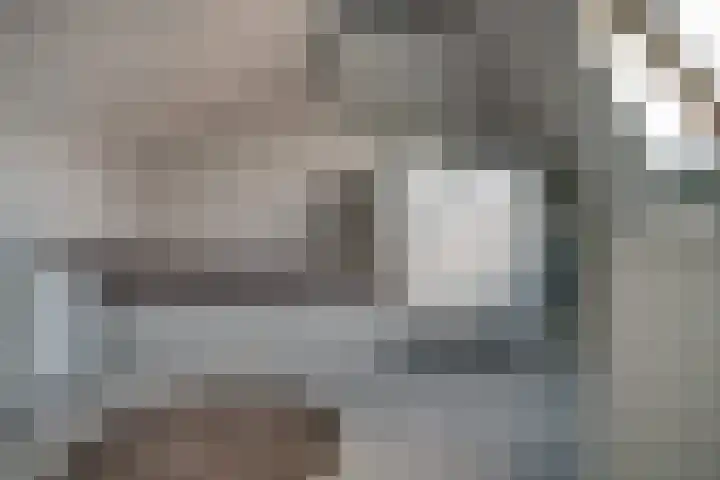 de Ververt 1241 Wijchen thumbnail 37