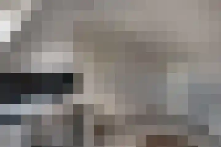 de Ververt 1241 Wijchen thumbnail 39