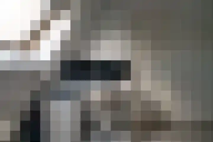 de Ververt 1241 Wijchen thumbnail 40