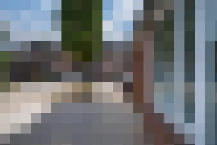 de Ververt 1241 Wijchen thumbnail 43