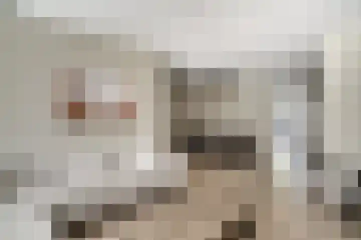 de Ververt 1241 Wijchen thumbnail 6