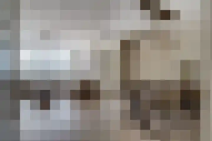 de Ververt 1241 Wijchen thumbnail 8
