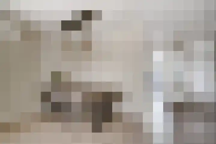de Ververt 1241 Wijchen thumbnail 9