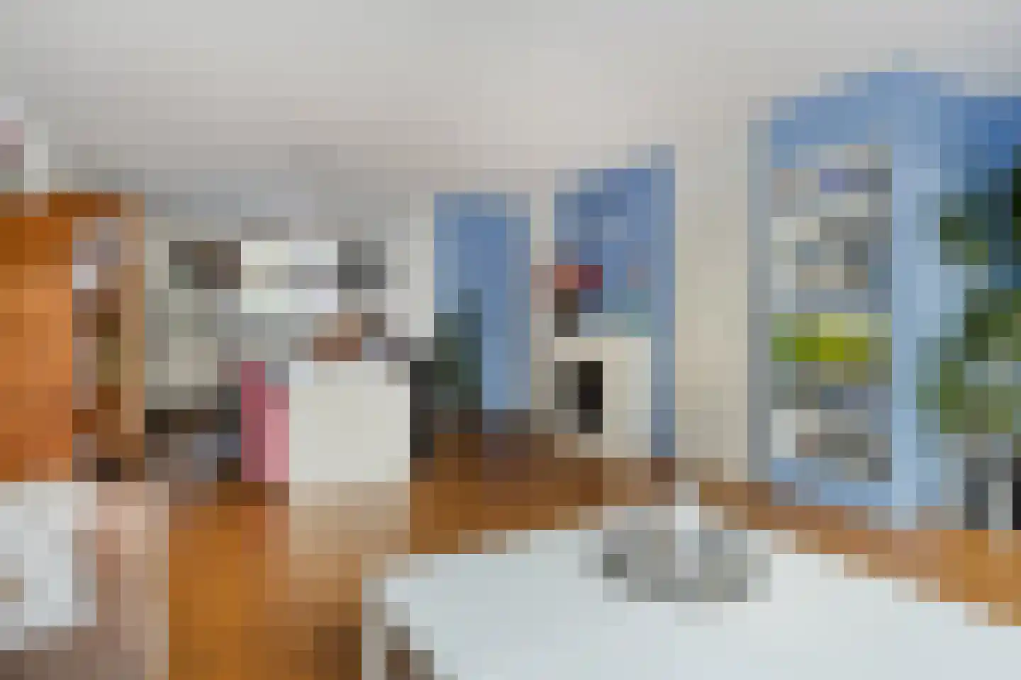 de Ververt 1554 Wijchen thumbnail 11