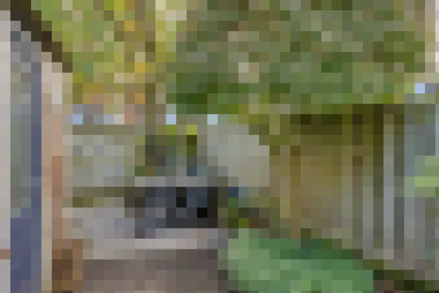 de Ververt 1554 Wijchen thumbnail 25