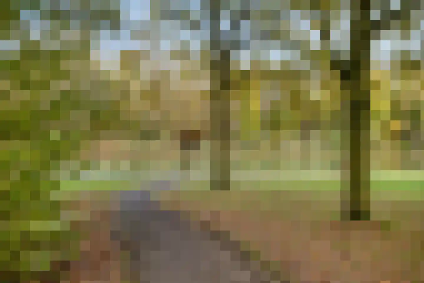 de Ververt 1554 Wijchen thumbnail 27