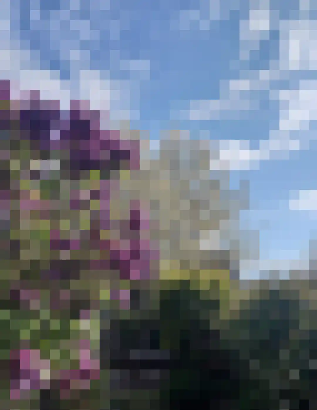 de Ververt 1554 Wijchen thumbnail 36