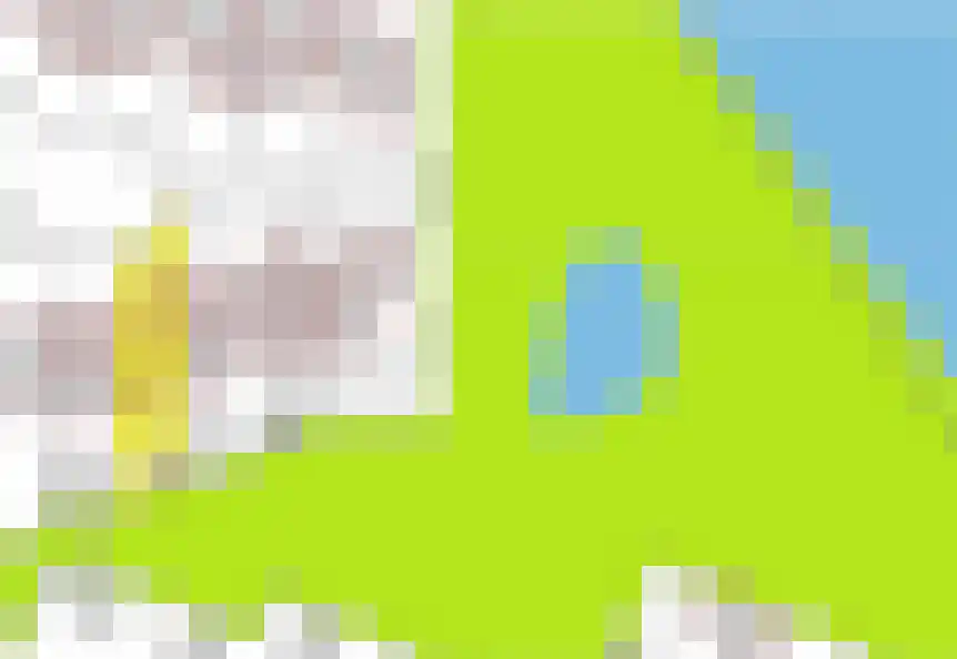 de Ververt 1554 Wijchen thumbnail 38