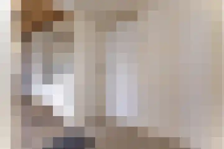 De Veste 11 11 32 Lelystad thumbnail 10