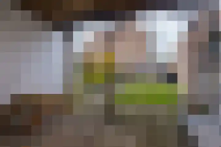 De Veste 11 11 32 Lelystad thumbnail 11
