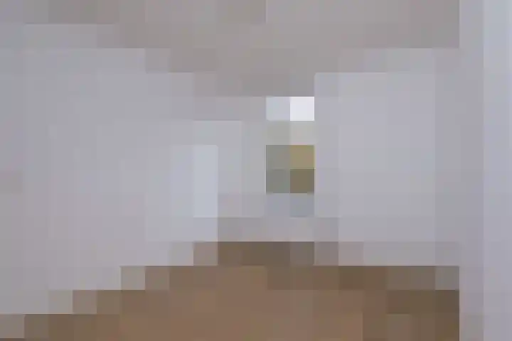 De Veste 11 11 32 Lelystad thumbnail 19
