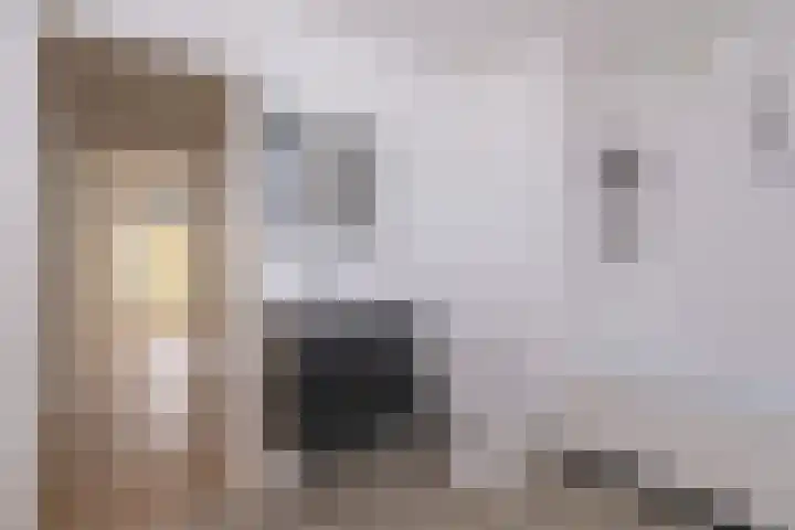 De Veste 11 11 32 Lelystad thumbnail 23