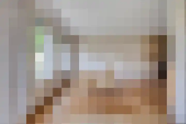 De Veste 11 Doesburg thumbnail 13