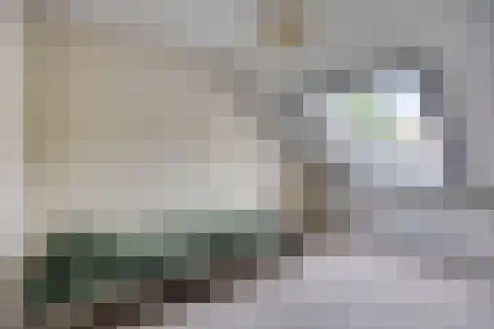De Veste 11 Doesburg thumbnail 22