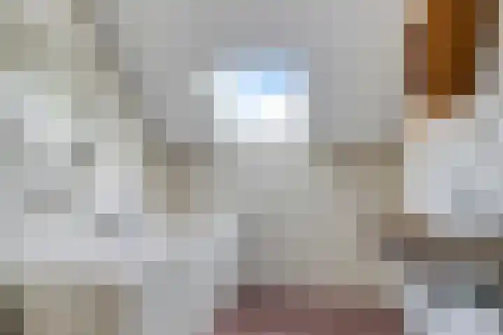 De Veste 11 Doesburg thumbnail 27