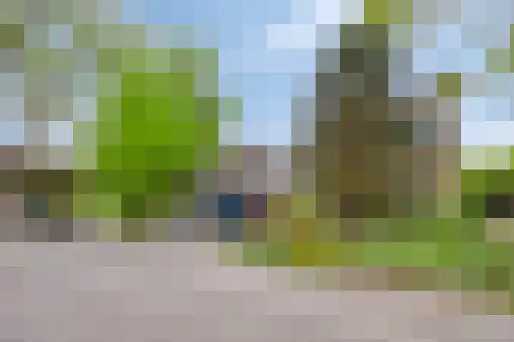De Veste 11 Doesburg thumbnail 33