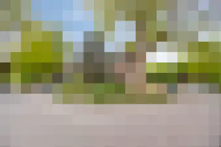 De Veste 11 Doesburg thumbnail 6