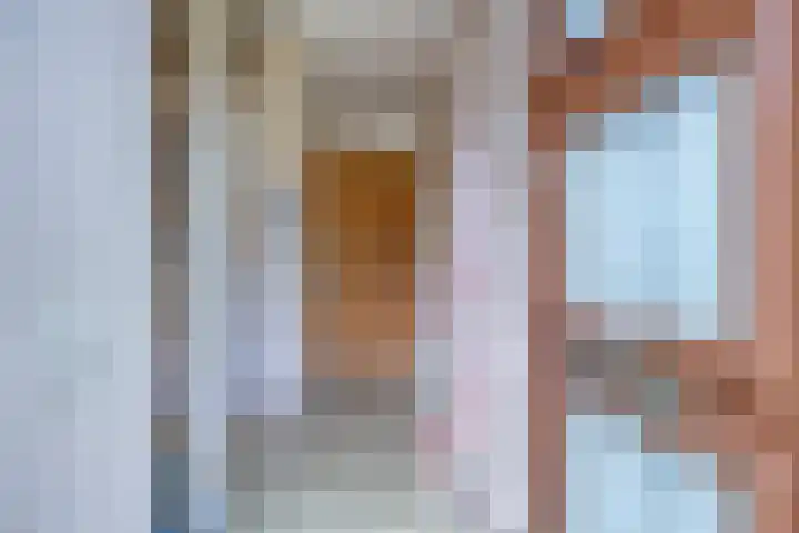 De Veste 11 Doesburg thumbnail 8