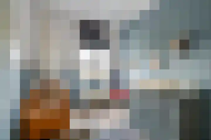 De Vesting 14 Meteren thumbnail 18