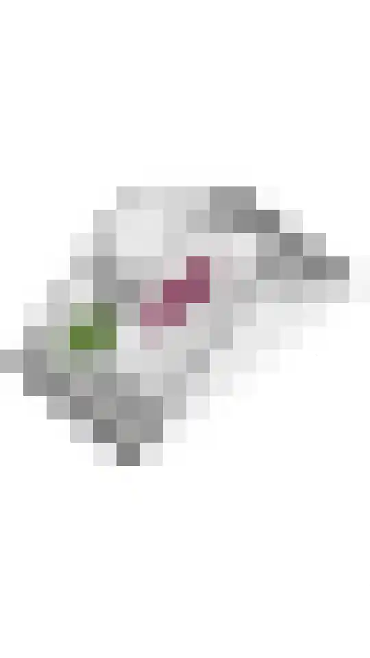 De Vesting 14 Meteren thumbnail 43