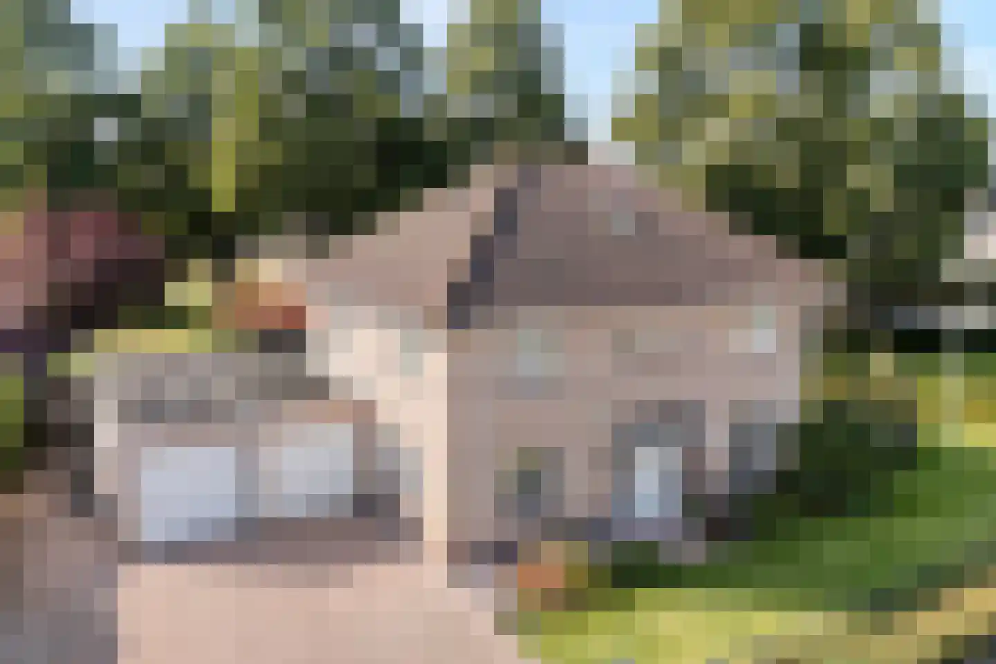 De Veurdele 58 in Nijeveen