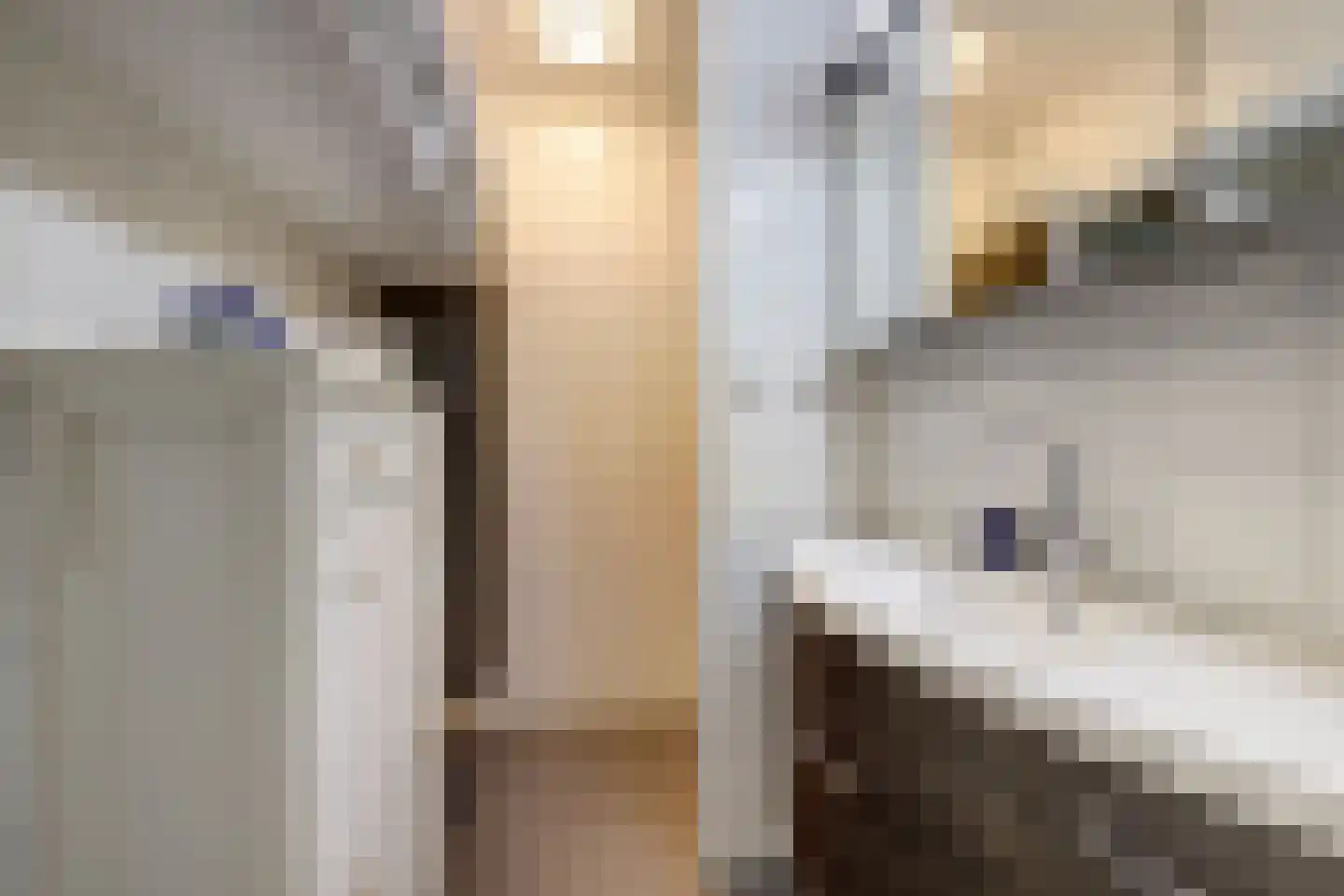 De Vier Winden 10 Zeewolde thumbnail 21