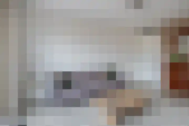 De Viermaster 29 Gasselternijveen thumbnail 17