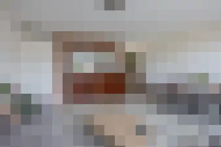 De Viermaster 29 Gasselternijveen thumbnail 18