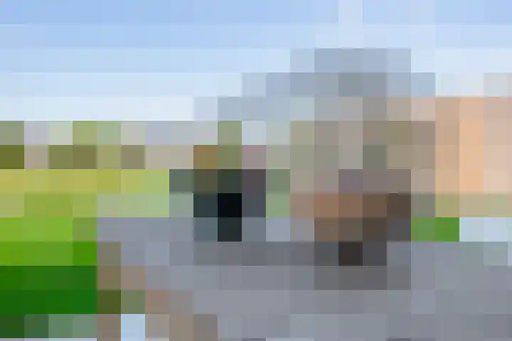 De Viermaster 29 Gasselternijveen thumbnail 44