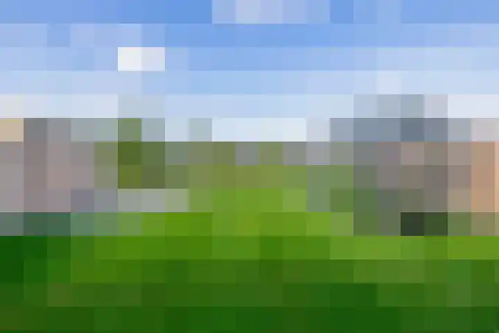 De Viermaster 29 Gasselternijveen thumbnail 47