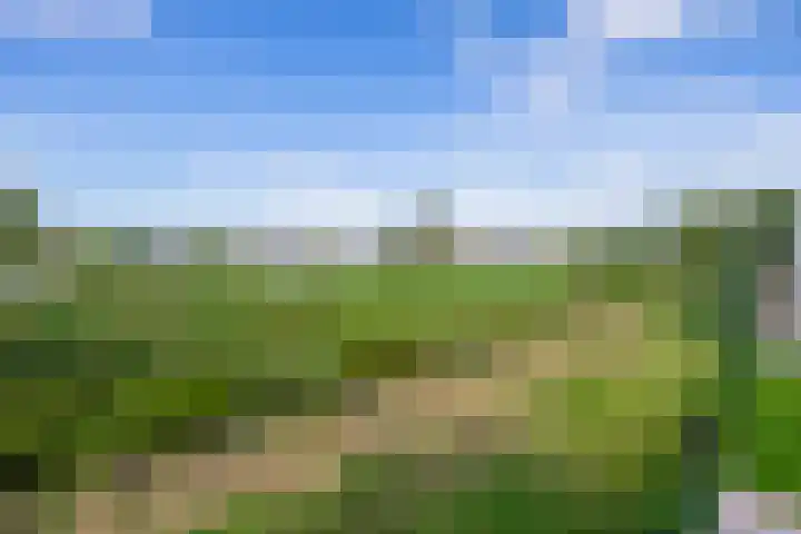 De Viermaster 29 Gasselternijveen thumbnail 49