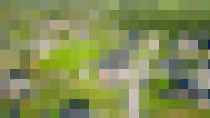 De Viermaster 29 Gasselternijveen thumbnail 51