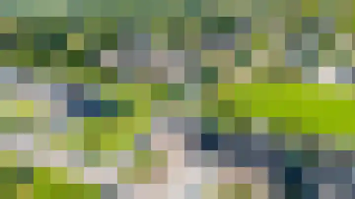 De Viermaster 29 Gasselternijveen thumbnail 54