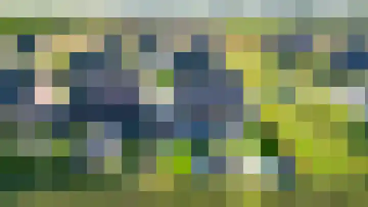 De Viermaster 29 Gasselternijveen thumbnail 58