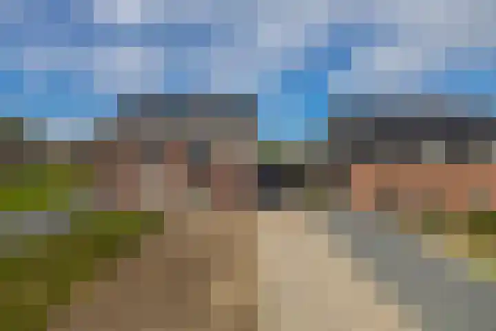 De Viermaster 29 Gasselternijveen thumbnail 8