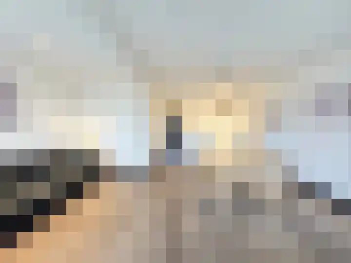 Team foto van De VIERWINDEN makelaardij