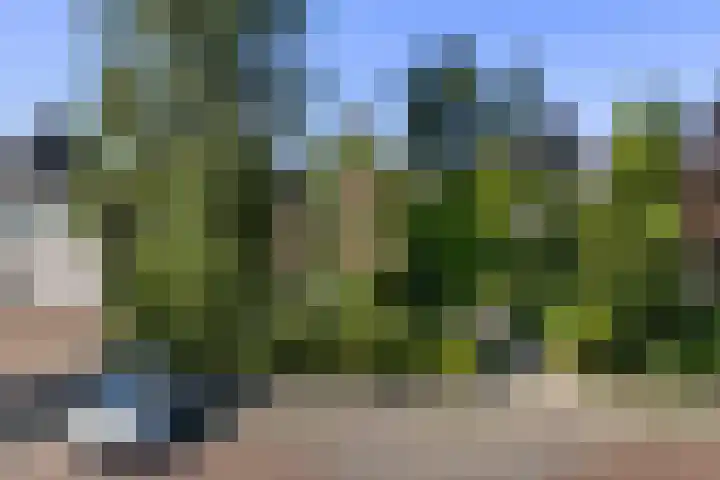 De Vijzel 8 Buitenpost thumbnail 10
