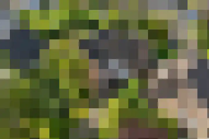 De Vijzel 8 Buitenpost thumbnail 11