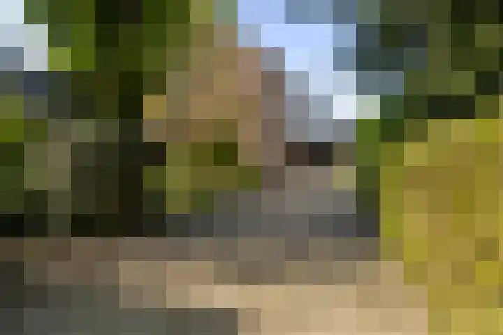 De Vijzel 8 Buitenpost thumbnail 14