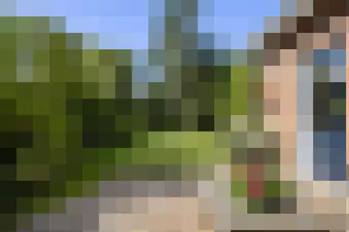 De Vijzel 8 Buitenpost thumbnail 31