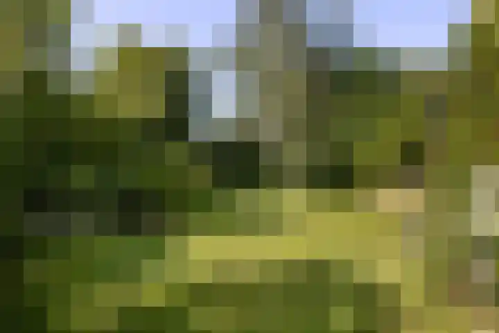 De Vijzel 8 Buitenpost thumbnail 33