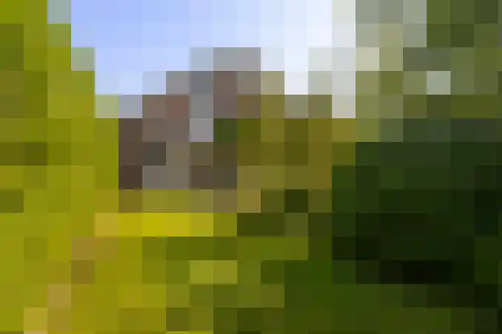 De Vijzel 8 Buitenpost thumbnail 35