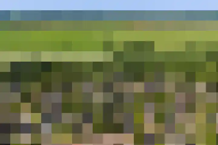De Vijzel 8 Buitenpost thumbnail 4