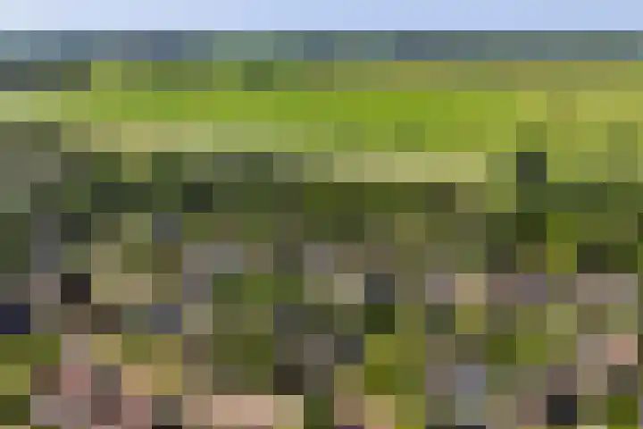 De Vijzel 8 Buitenpost thumbnail 5